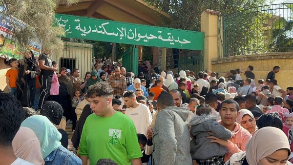 11 ألف زائر لحديقة حيوان الإسكندرية خلال عيد الفطر