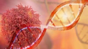 لازم يحموا نفسهم| تحذير.. هؤلاء الأكثر عرضة للإصابة بمرض السرطان