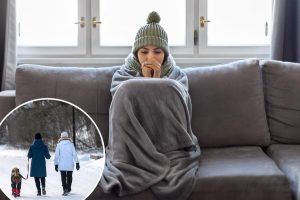 أفضل الحيل للبقاء على قيد الحياة – والازدهار – خلال عاصفة الشتاء السرخس