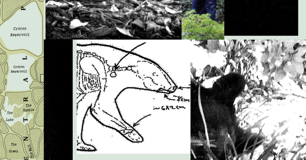 سجلات جديدة تكشف الفوضى التي خلفها آر إف كيه جونيور عندما تخلص من دب ميت في سنترال بارك