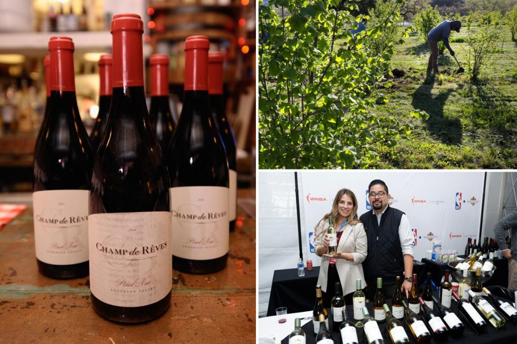 يغلق عملاق نبيذ آخر في كاليفورنيا الموقع ويفصل الموظفين مع انتشار الفوضى في وادي نابا