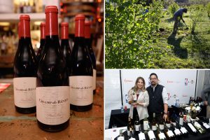 يغلق عملاق نبيذ آخر في كاليفورنيا الموقع ويفصل الموظفين مع انتشار الفوضى في وادي نابا