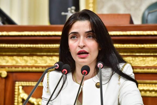 برلمانية: وضع ملف خفض الدين على صدارة الأولويات طريق لكسب ثقة المواطن