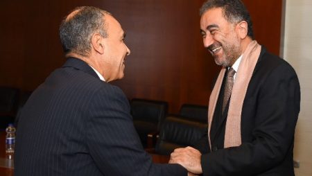 وزير الخارجية يؤكد أهمية تعظيم الاستفادة من عضوية الاتحاد الأفريقي في مجموعة العشرين