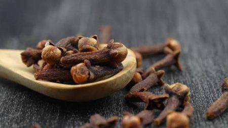 ماذا يحدث للجسم عند مضغ القرنفل كل صباح؟.. فوائد مذهلة