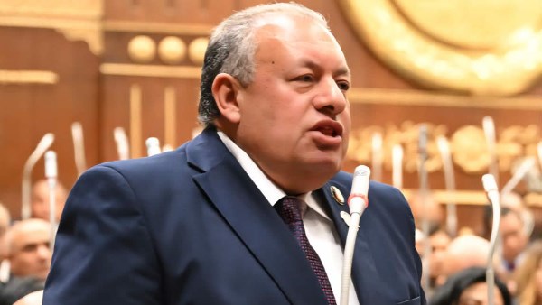 برلماني: الخطة القومية لمكافحة الأورام أولوية وطنية لحماية صحة المصريين