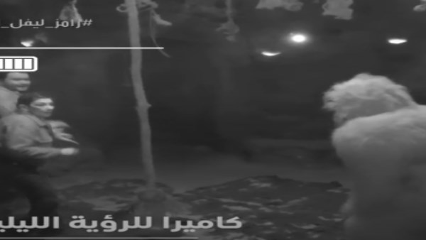 ثبات انفعالي من الفنانة سماح أنور بعد رؤية غوريلا رامز ليفل الوحش