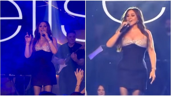 عايشالك.. إليسا تشعل حفل عيد الحب في أمريكا