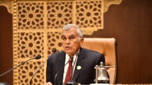 رئيس مجلس الشيوخ يفتتح أعمال الجلسة العامة