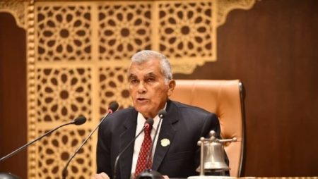 رئيس مجلس الشيوخ يفتتح أعمال الجلسة العامة