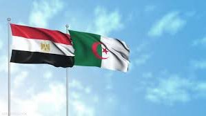 بوطالبي أمين: مصر والجزائر ساهمتا في تحرير الشعوب الأفريقية