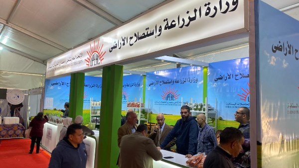 الزراعة تطرح البطاطس بـ6 جنيهات والتمر بـ30 جنيهًا| قائمة الأسعار كاملة