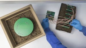 ابتكارات علمية لزراعة مستدامة بأقل التكاليف