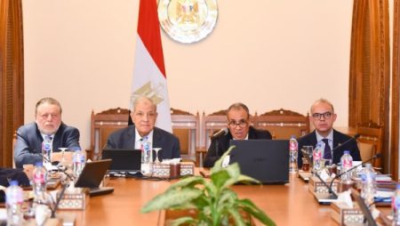 وزير الخارجية: الوكالة المصرية للشراكة منصة استراتيجية لدعم التنمية والاستقرار الإقليمي