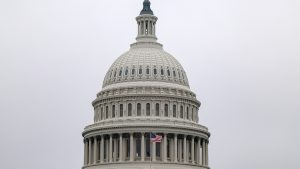 تخسر الحكومة الفيدرالية حوالي تريليون دولار سنويًا بسبب الاحتيال: هايوود تالكوف