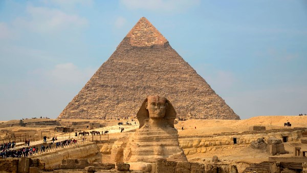 غرامة 3000 جنيه ووقف شهر .. نقابة السياحيين عن ضوابط تأجير الدواب بالجيزة