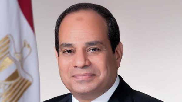 النائبة أسماء الجمال: مصر تمتلك رؤية واضحة لدعم الاستقرار الإقليمي