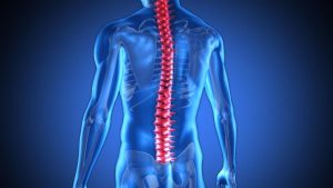 سرطان النخاع.. الأعراض وطرق التشخيص والعلاج