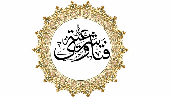 فتاوى| هل يجب الطهارة في سجود الشكر؟.. الإفتاء تجيب.. لو فاتتك صلاة الوتر سهوًا .. أمين الفتوى يوضح كيفية قضائها صباحًا.. هل يقدم قضاء الأيام الفائتة من رمضان أم صيام الست من شوال؟.. علي جمعة يجيب