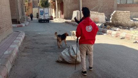 استجابة لشكاوى الأهالي.. تحصين 48 كلبًا ضالًا خلال حملات الطب البيطري بقنا