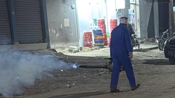 تكثيف حملات مكافحة الحشرات الطائرة بالأقصر للحفاظ على الصحة العامة