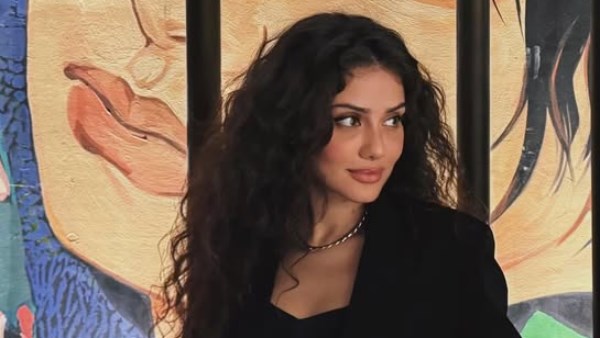 بعد سرقة جيهان الشماشرجي… عقوبات رادعة تواجه المتورطين في جرائم السرقة