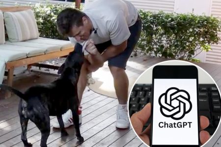 ينقذ Tech pro كلبه المحتضر باستخدام ChatGPT لترميز لقاح مخصص للسرطان