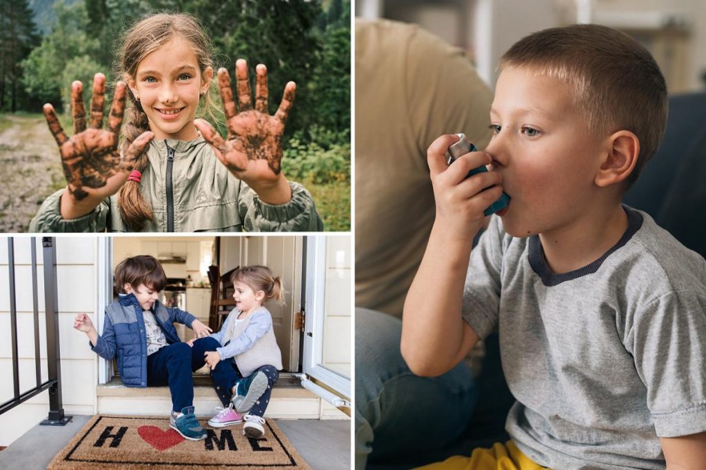 المزيد من الأوساخ في المنزل يمكن أن يحسن الربو لدى الأطفال