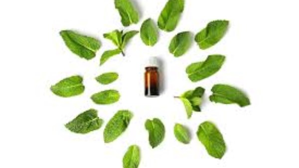 ودّعي الهموش نهائيًا.. أسرع طريقة لتنظيف البيت والتخلص من الحشرات في يوم واحد فقط