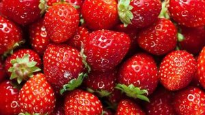 5 أسباب تجعلك تتناول الفراولة.. ما هى؟