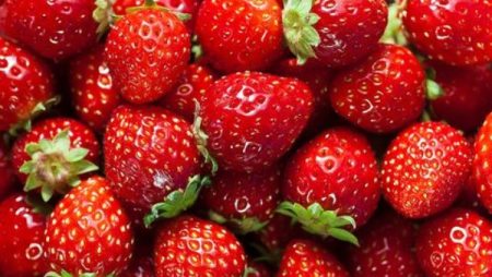 5 أسباب تجعلك تتناول الفراولة.. ما هى؟