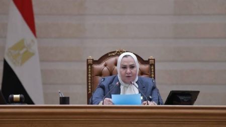 أكبر نواب البرلمان تنتقد مقترح حصول الزوجة على ثلث ثروة الزوج: نستفز الشارع ونتحدث في فراغ