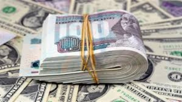 سعر الدولار اليوم في البنوك المصرية