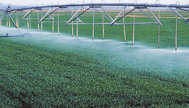 برلماني: التحول للري الحديث ضرورة لتعظيم الإنتاج الزراعي وحماية الموارد المائية