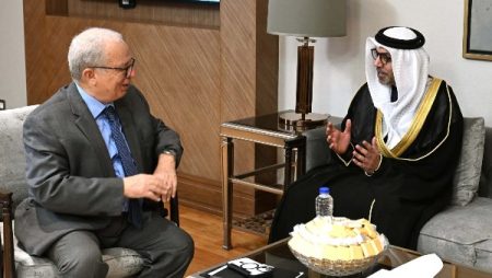 نائب رئيس الوزراء للشئون الاقتصادية يلتقي سفير الإمارات بالقاهرة لبحث التعاون