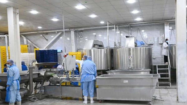 وزير الاستثمار: مصانع الألبان تحقق طفرة تصديرية جديدة وتوسع حضورها العالمي