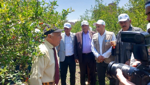 محافظ أسيوط: ورشة عمل لتعزيز نظم الري الحديث وتحسين إنتاج الرمان