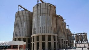 صوامع ممتلئة وخطة رقابية مشددة.. سوهاج تُحكم السيطرة على “الذهب الأصفر” في موسم 2026