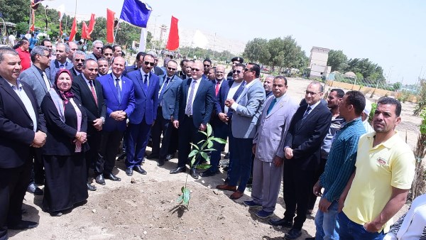 محافظ سوهاج ورئيس الجامعة يشاركان في زراعة أشجار الزيتون احتفالًا بذكرى تحرير سيناء
