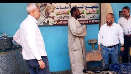حملات تفتيشية بأسوان على 24 منشآة وإعدام 120 كجم أسماك مملحة