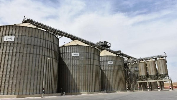 صوامع وشون وبناكر أسوان تنهى استعداداتها لبدء موسم توريد القمح لعام 2026