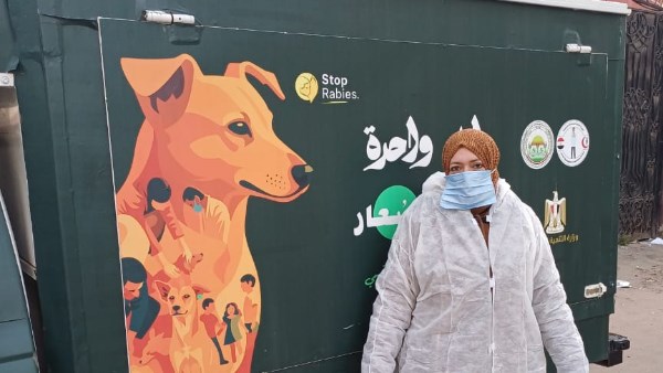 خطة محافظة بورسعيد لمجابهة الكلاب الضالة بين الدعم والاعتراض |شاهد