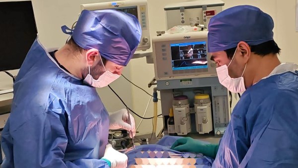جراحة ناجحة لمريضة تعاني انسدادا معويا نادرا بكفر الشيخ | صور