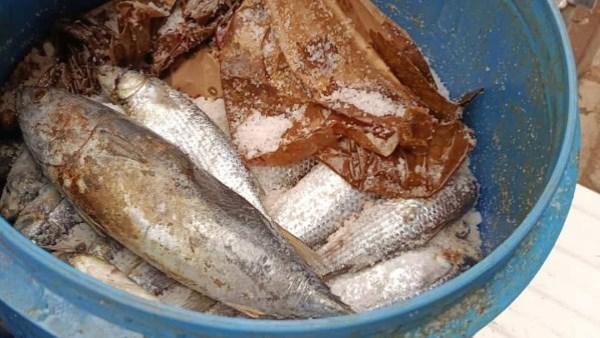 تزامنا مع أعياد الربيع..حملات رقابية في المحافظات لضبط الأسواق