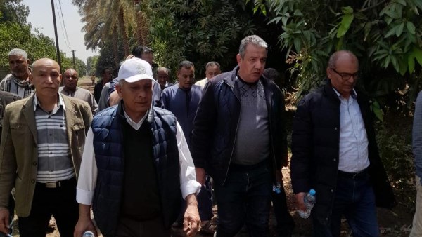 بتكليفات من الوزير.. الزراعة تتابع برامج إكثار التقاوي في الأقصر