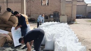 قبل موسم الزراعة.. 15 ألف شيكارة تقاوي قطن جاهزة للتسليم للمزارعين