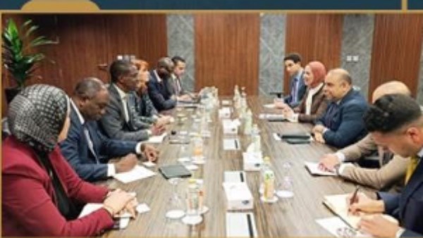 البترول: الشراكة مع الهيئة الإفريقية خطوة لتسريع وتيرة تطوير قطاع التعدين