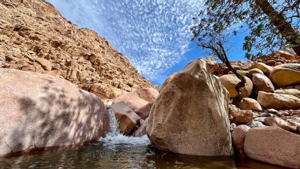خير في أرض التجلي.. السيول ترسم لوحات من الجمال بوديان سانت كاترين | شاهد