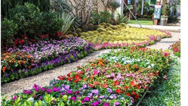 الأحد المقبل افتتاح تجريبي لمعرض “زهور الربيع”.. التفاصيل مع متحدث الزراعة