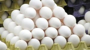 اعرف الطبق بكام.. أسعار البيض اليوم 14 أبريل 2026